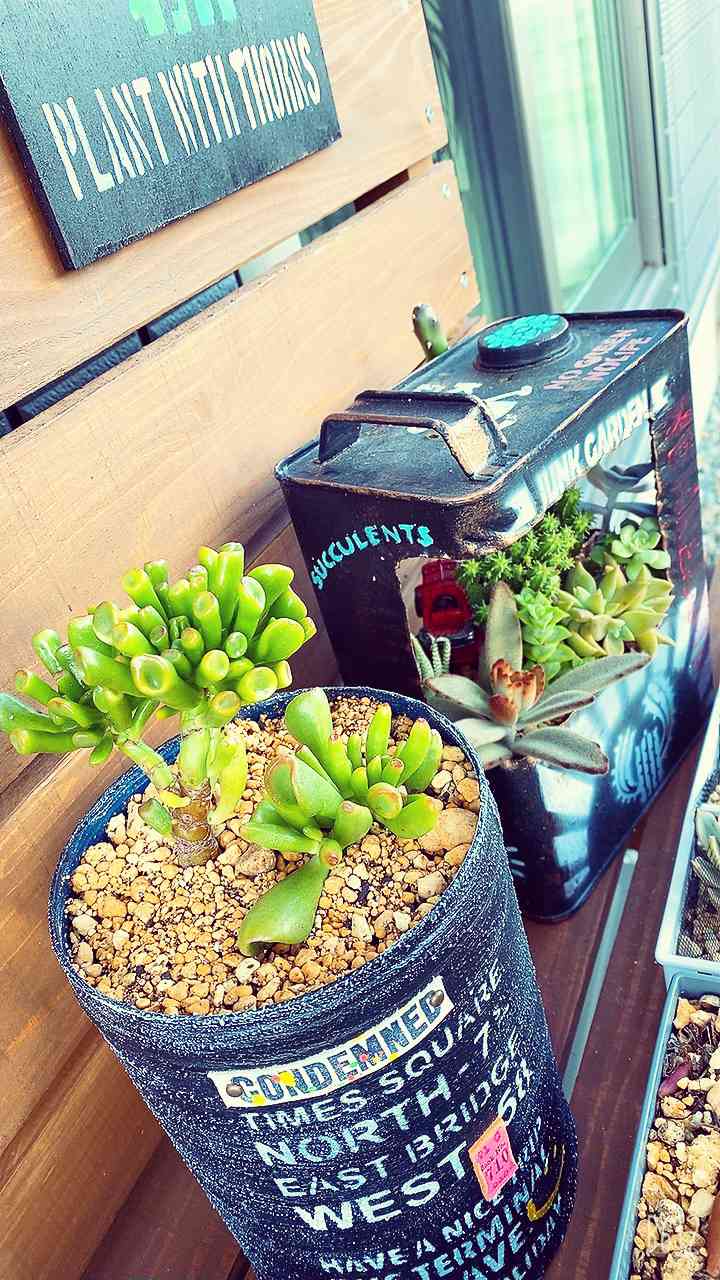 男前☆リメイク缶✨️3個セット