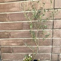 Gnqodtd3nj0ksm Gnqodtd3nj0ksm