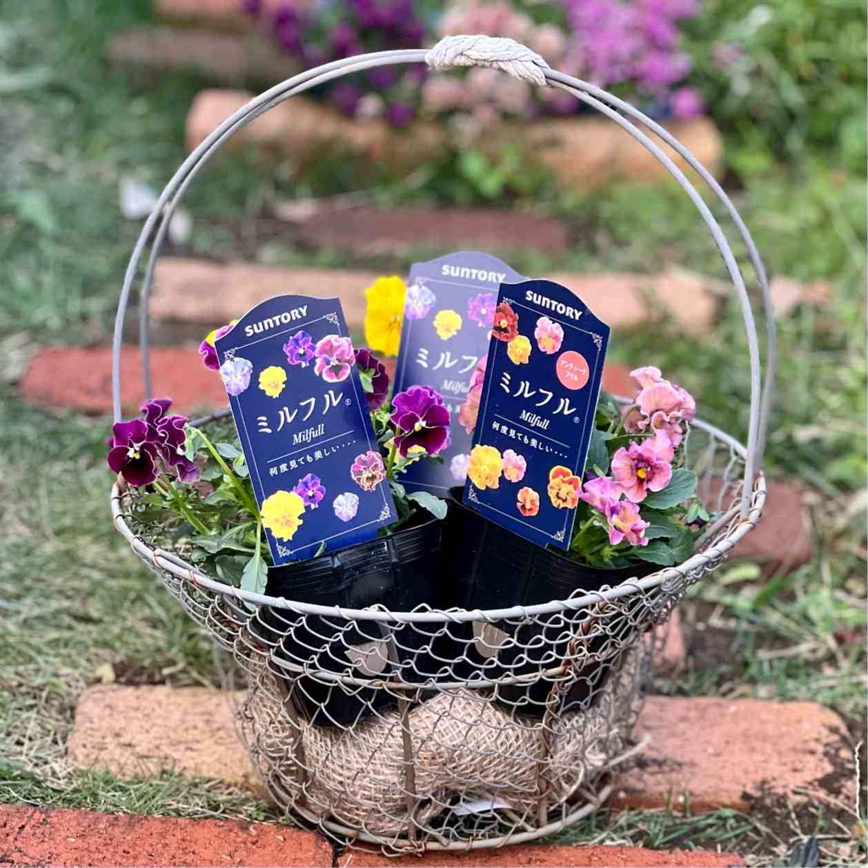 ミルフルモニター2022｜🍀GreenSnap（グリーンスナップ）