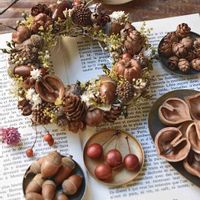 サンキライ,ヤマハハコ,くるみ,山帰来の実,胡桃の画像