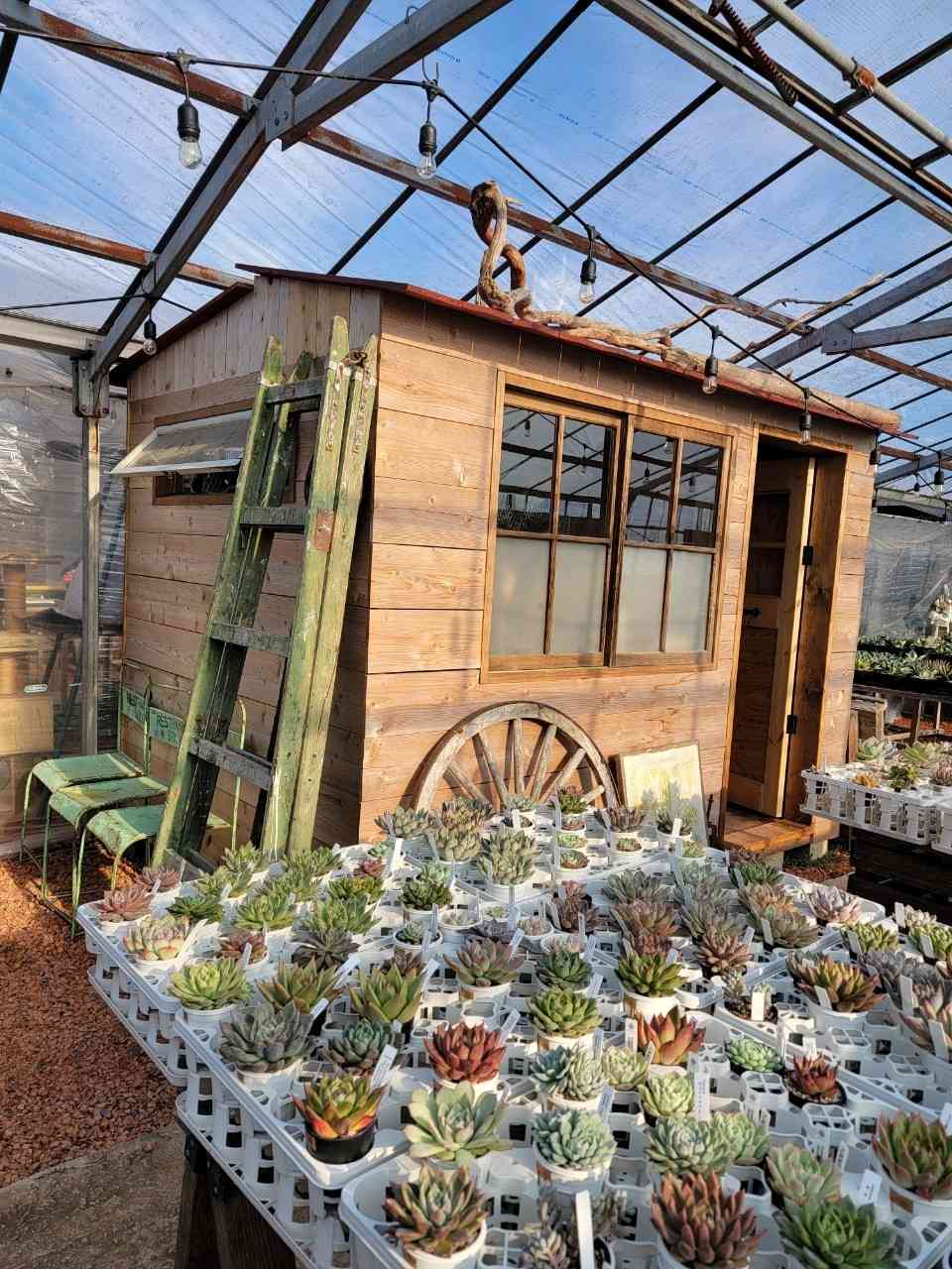DIYで山小屋風作ってみた😁｜🍀GreenSnap（グリーンスナップ）