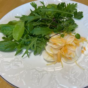 ハーブ,種から,野菜 水耕栽培,根菜,無農薬野菜の画像