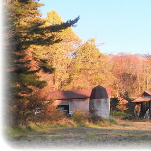 no green no life,秋色,八ヶ岳南麓,清里牧場通り,チーム八ヶ岳の画像