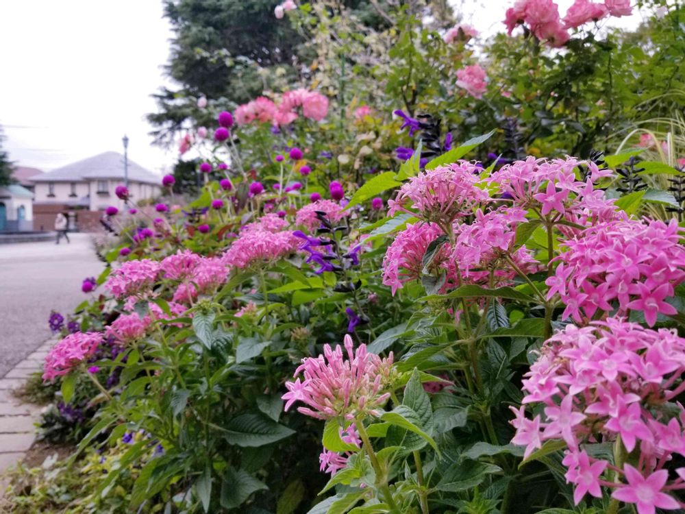 エリィさんの港の見える丘公園への投稿