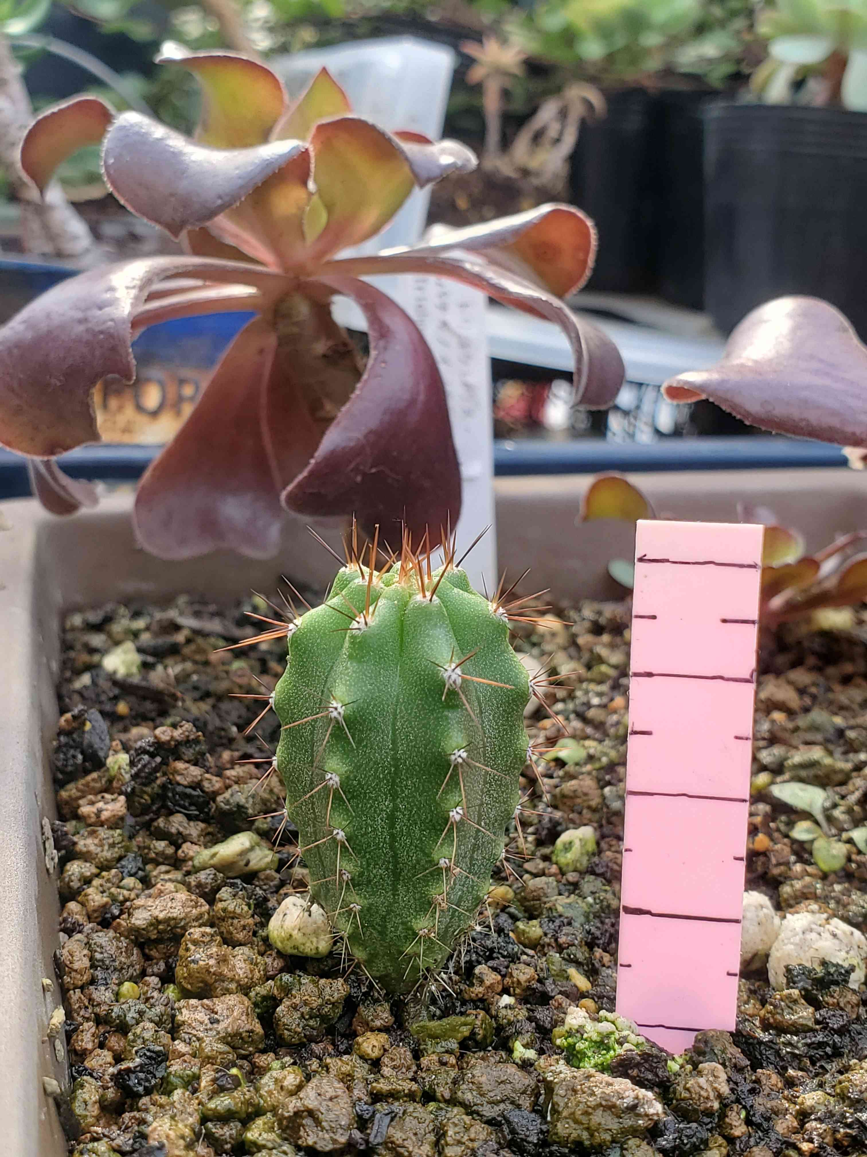 1668080433864_791272_20221110_