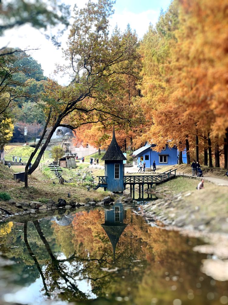 山もっちゃんさんの山手イタリア山庭園への投稿