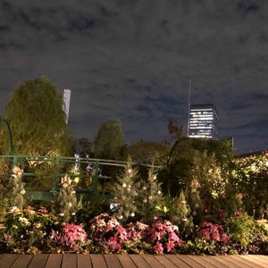 屋上庭園,池袋西武,お出かけ先の画像