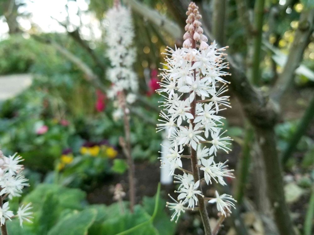 エリィさんの港の見える丘公園への投稿