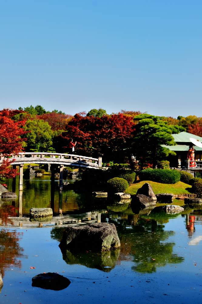 大仙公園”日本庭園”の秋を散策🚶🏻‍♂️🚶🏽秋を満喫です💕ご一緒に🚶🏽🚶🏻‍♂️｜🍀GreenSnap（グリーンスナップ）