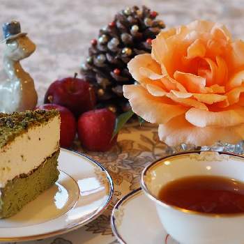 和薔薇,おへやで育てるばら,和バラファン,和薔薇倶楽部,和バラ　そよの画像