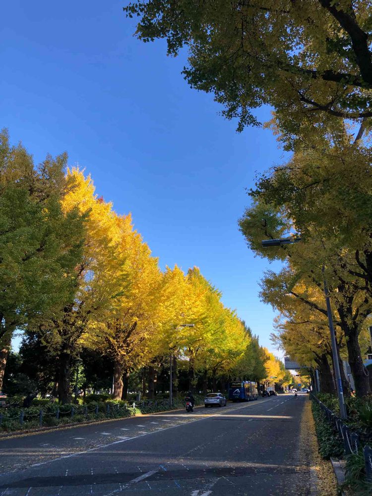 おケイさんの山下公園への投稿