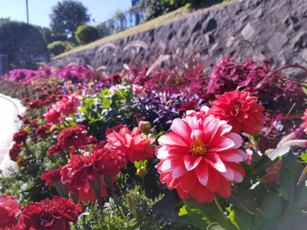 エリィさんの港の見える丘公園への投稿