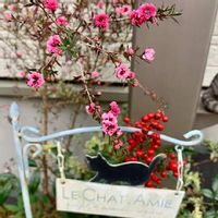 Mxk41wxhbipjgm Mxk41wxhbipjgm