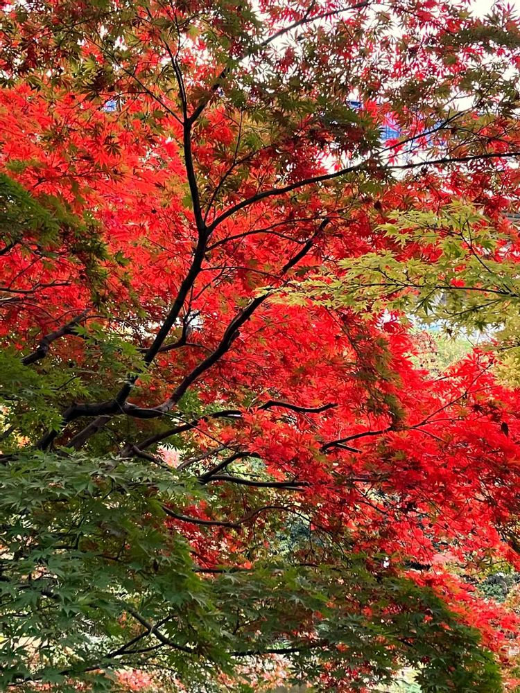 jutaさんの横浜公園への投稿