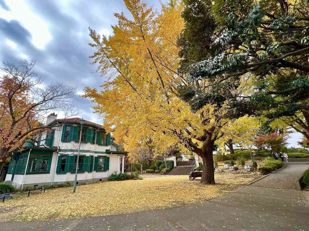 yaccoさんの山手イタリア山庭園への投稿