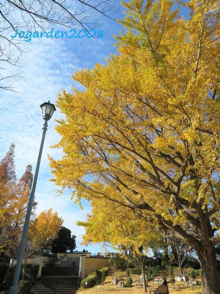 Joさんの山手イタリア山庭園への投稿