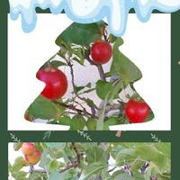 サニーレタスの花言葉 意味や由来 種類はあるの Greensnap グリーンスナップ サニーレタスの花言葉 意味や由来 種類はあるの Greensnap グリーンスナップ