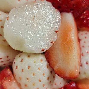 イチゴ,いちご,白いちご,白いイチゴ,果物の画像