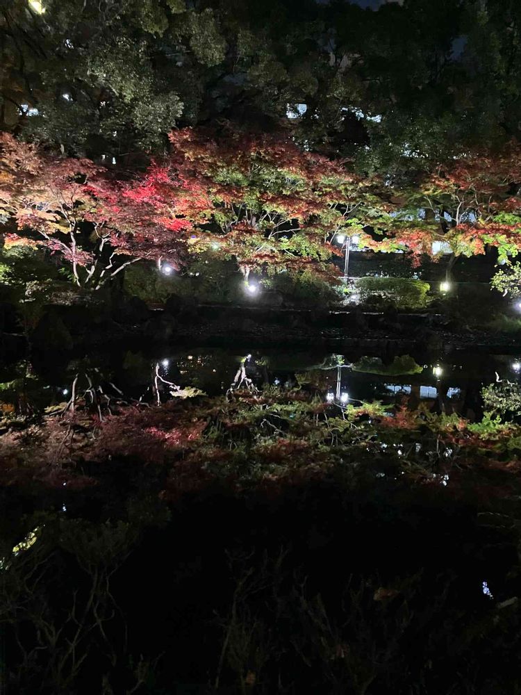 jutaさんの横浜公園への投稿