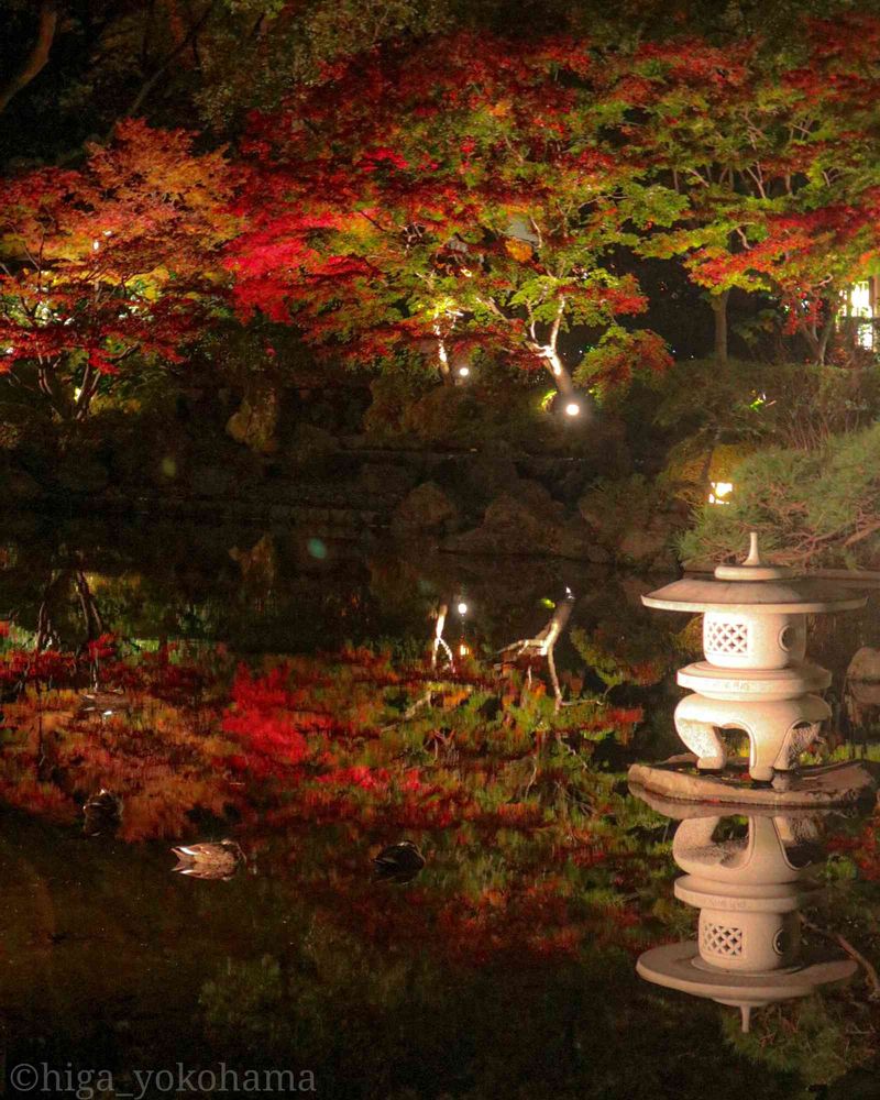 ヒガ君さんの横浜公園への投稿