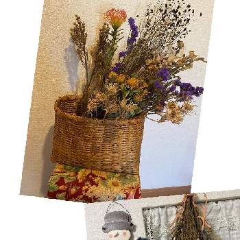 クレマチス,ドライフラワー,花のある暮らし,植中毒の画像