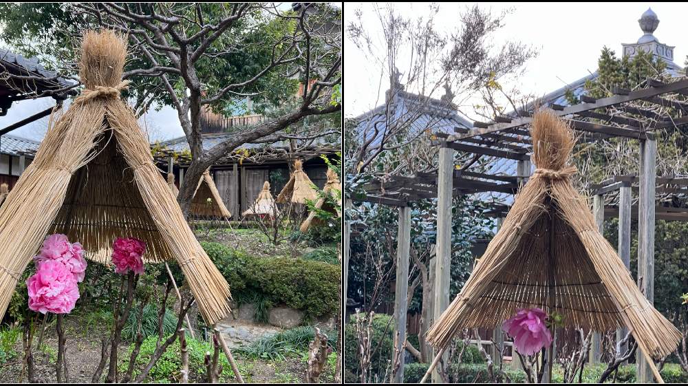 花の寺 奈良の石光寺 せっこうじ Greensnap グリーンスナップ