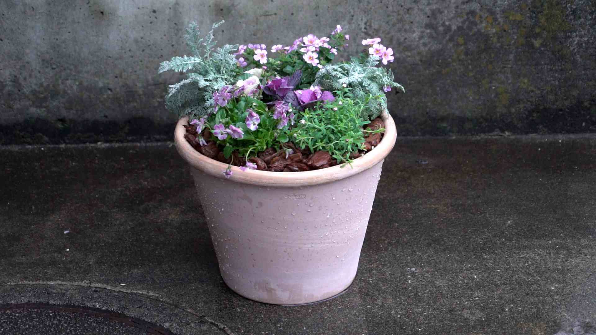 初チャレンジ❗️トリプルデッカー‼️｜🍀GreenSnap（グリーンスナップ）