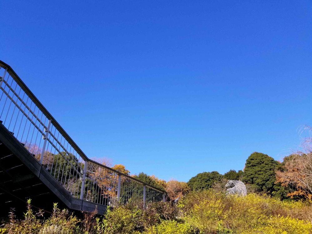 エリィさんの里山ガーデン（大花壇）への投稿