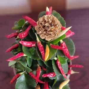 クリスマス,クリスマスツリー,☆カランコエ,おしゃれな土曜日♪,グリーンアクセサリー♪の画像