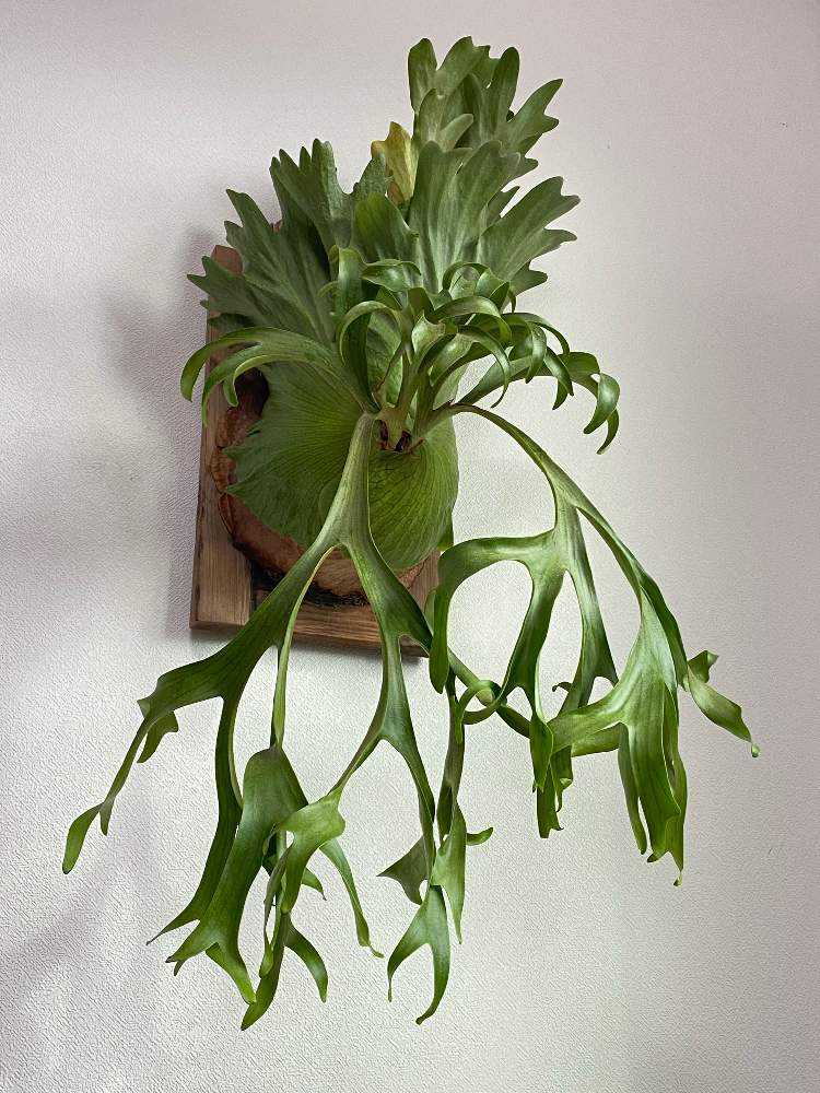 1671340488354_thum_261696_phot