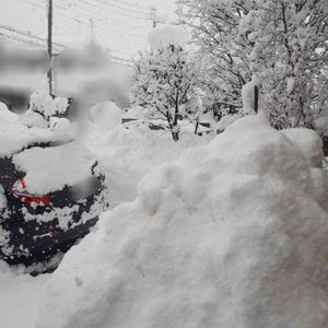 大雪,no green no life,冬越し,番外編,冬ごもりの画像