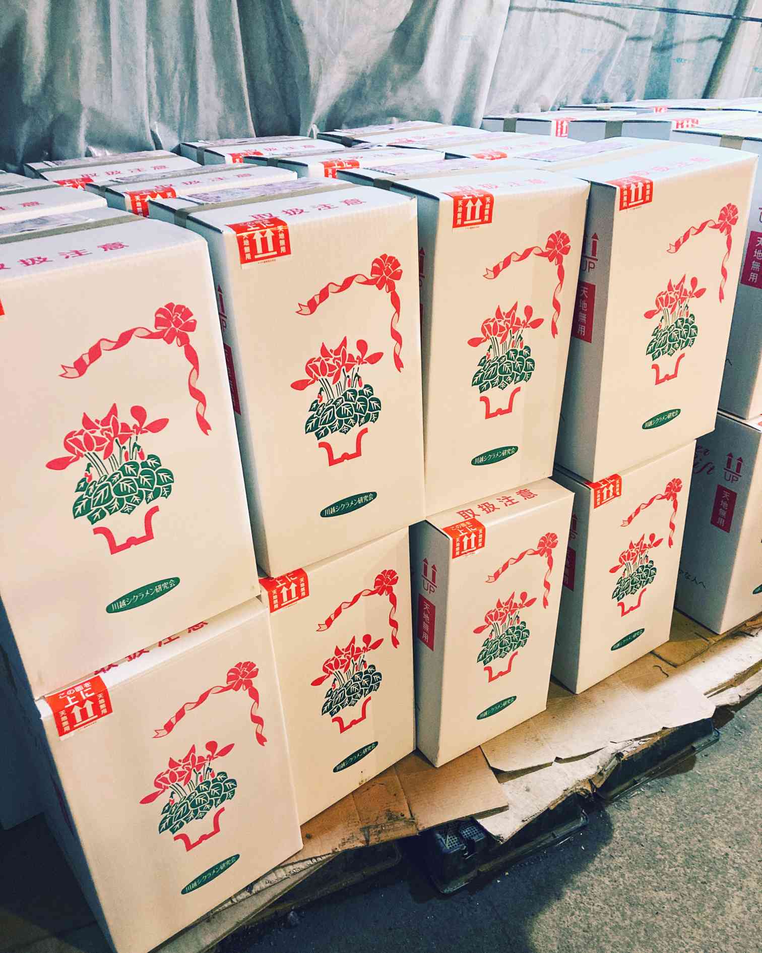 谷合園芸のアルバム｜🍀GreenSnap（グリーンスナップ）