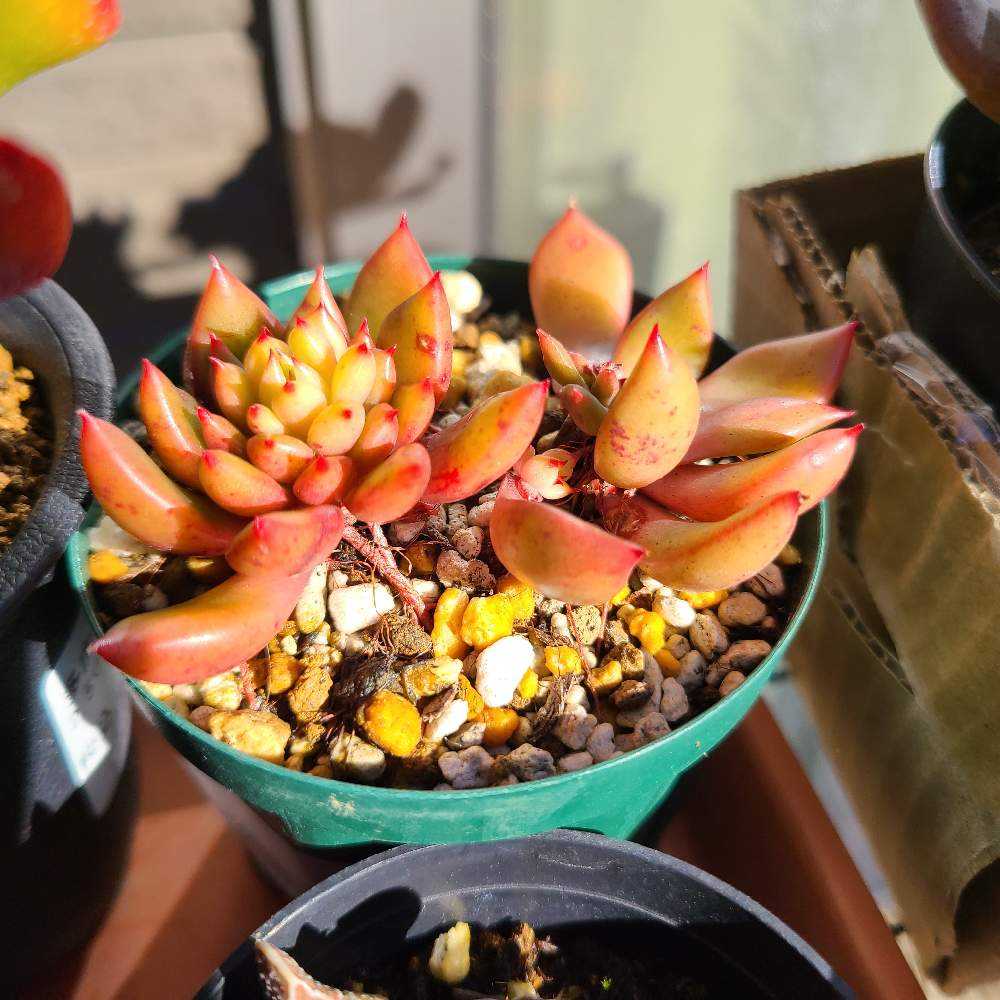 1671760059008_thum_467266_2022