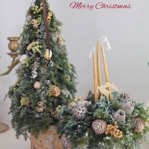 クリスマスツリー♡,クリスマス,プリザーブド フラワー,クリスマスアレンジ,ナチュラルスタイルの画像