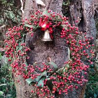 ノイバラ,ノイバラの実, クリスマスリース,赤い実,クリスマスリースの画像