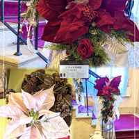 ポインセチア,❤️いいね、ありがとう,今日のお花,横浜山手西洋館,ベーリック・ホールの画像