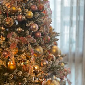 クリスマスツリー,クリスマスディスプレイ,もみの木♡,メリークリスマス⋆*の画像