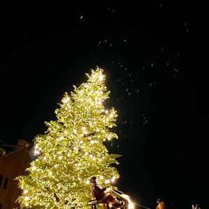 もみの木,クリスマス,クリスマスツリー,灯り,赤レンガ倉庫の画像