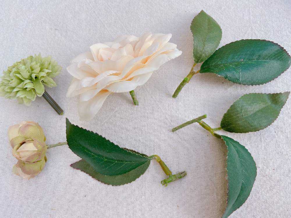 造花と身近にある実を使ったしめ縄飾りの作り方｜🍀GreenSnap