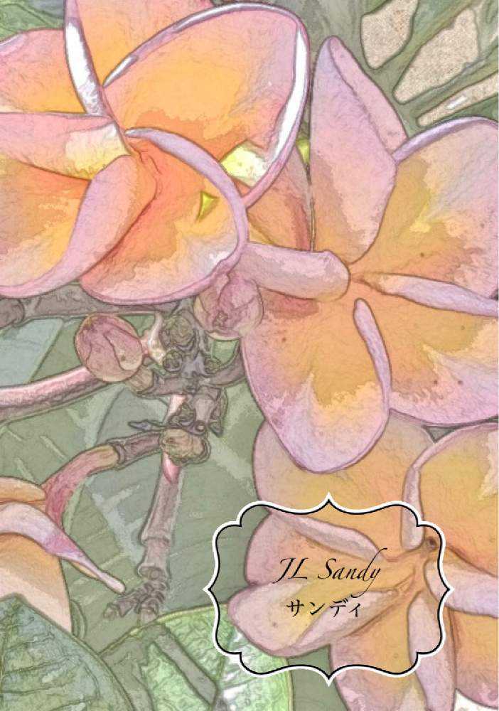 プルメリア園芸品種『JL Sandy / ジムリトル サンディ』｜🍀GreenSnap