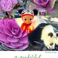 ハボタン,今年もありがとう,GSの皆さまに感謝♡,パンダの日,ソニーエンジェルの画像