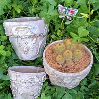 金晃丸(きんこうまる),かおりんさんのリメイク鉢,リメイク鉢, 金晃丸,自分らしくねの画像