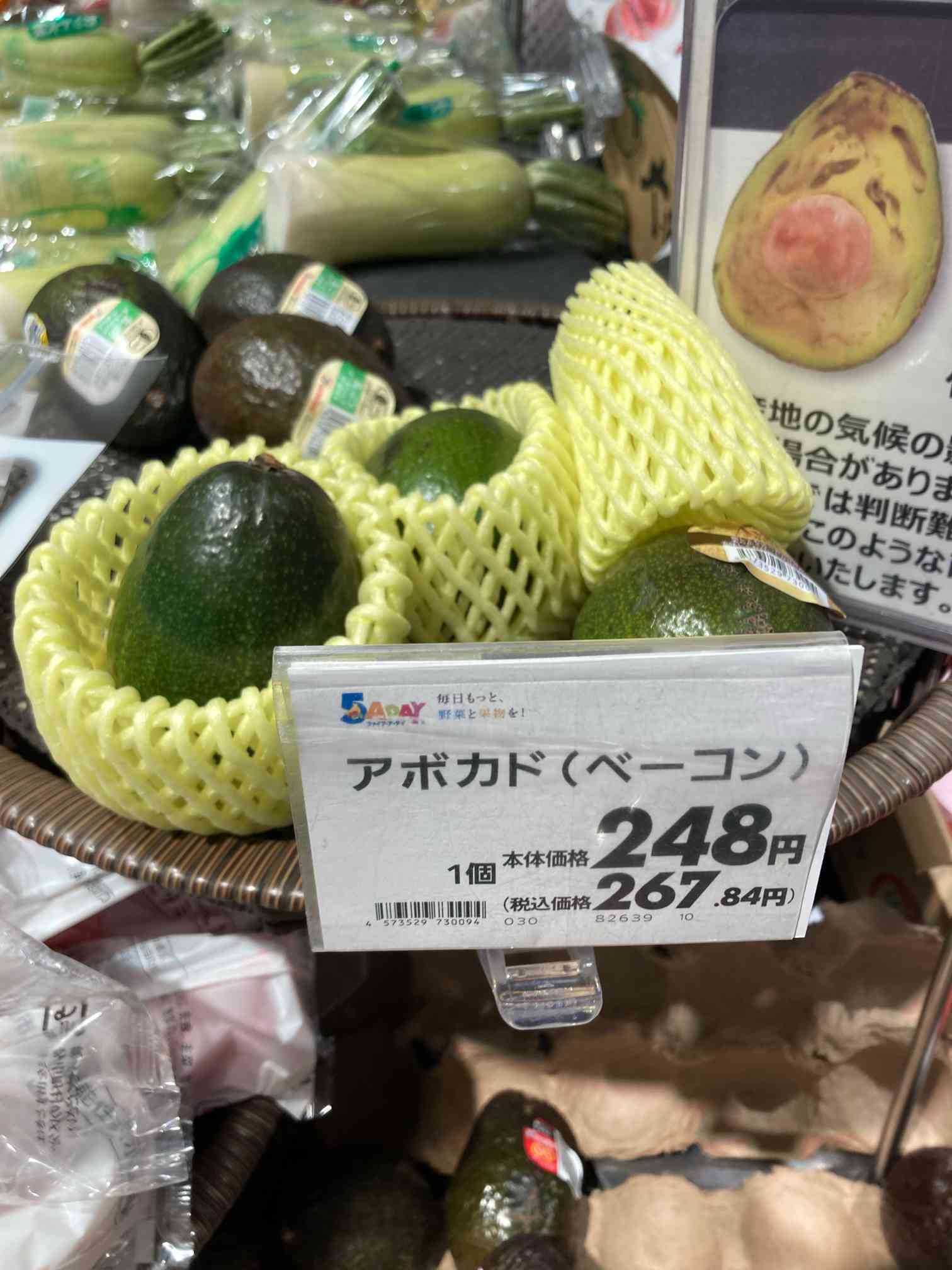 アボカド ベーコン種の一覧｜🍀GreenSnap（グリーンスナップ）