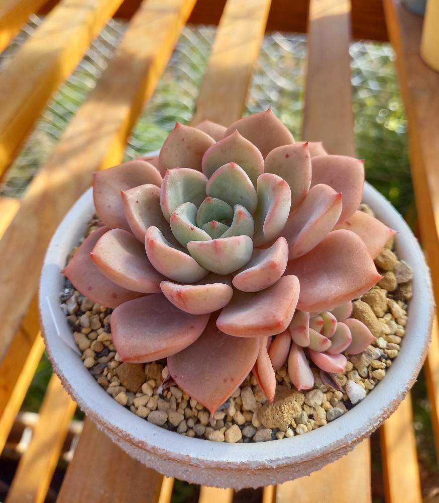 1672694779278_thum_102105_2023