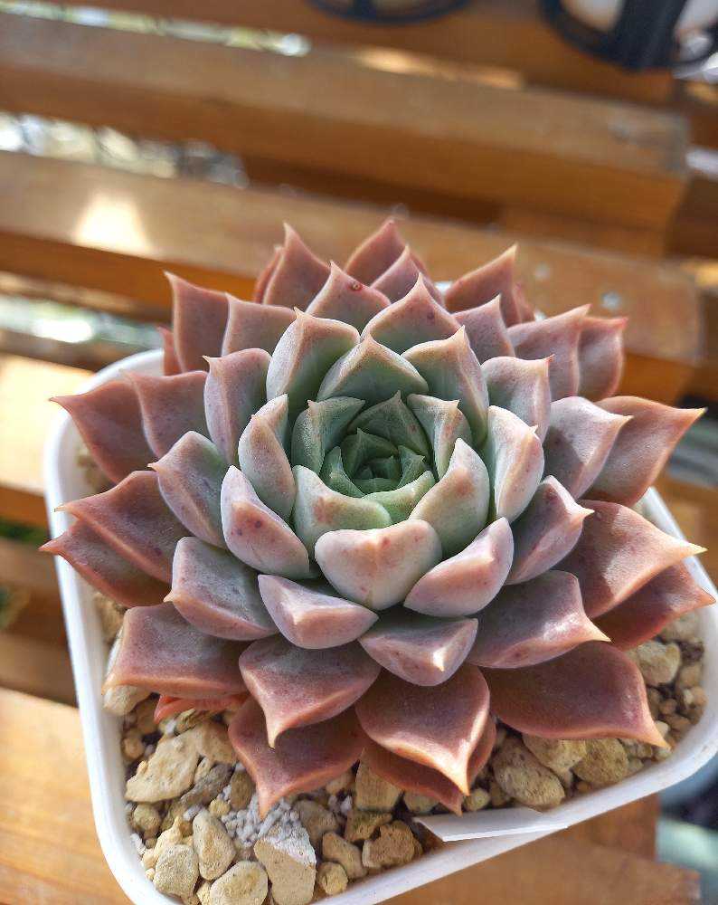 1672748991400_thum_711364_2023