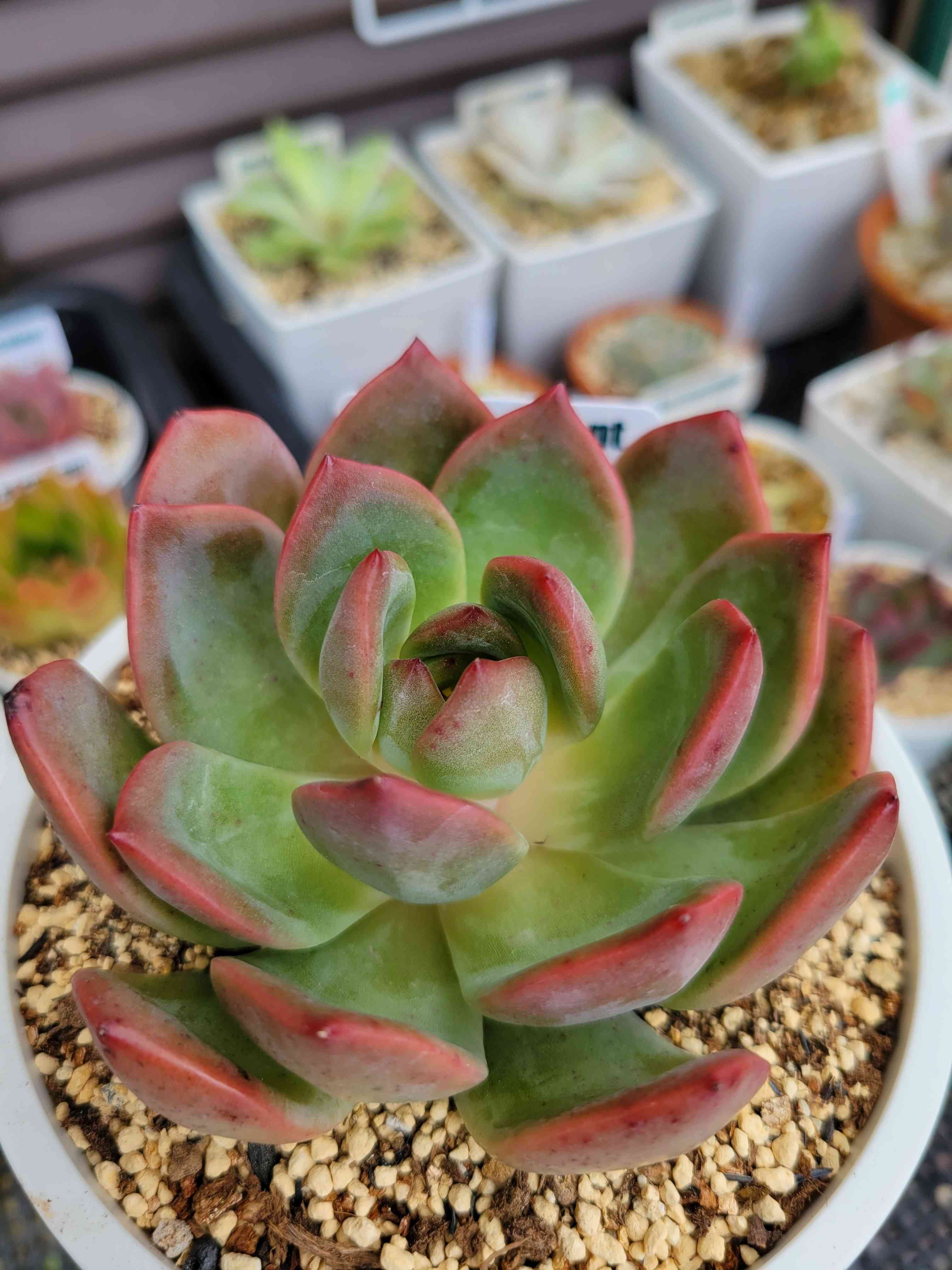 1672925293520_598935_20230105_