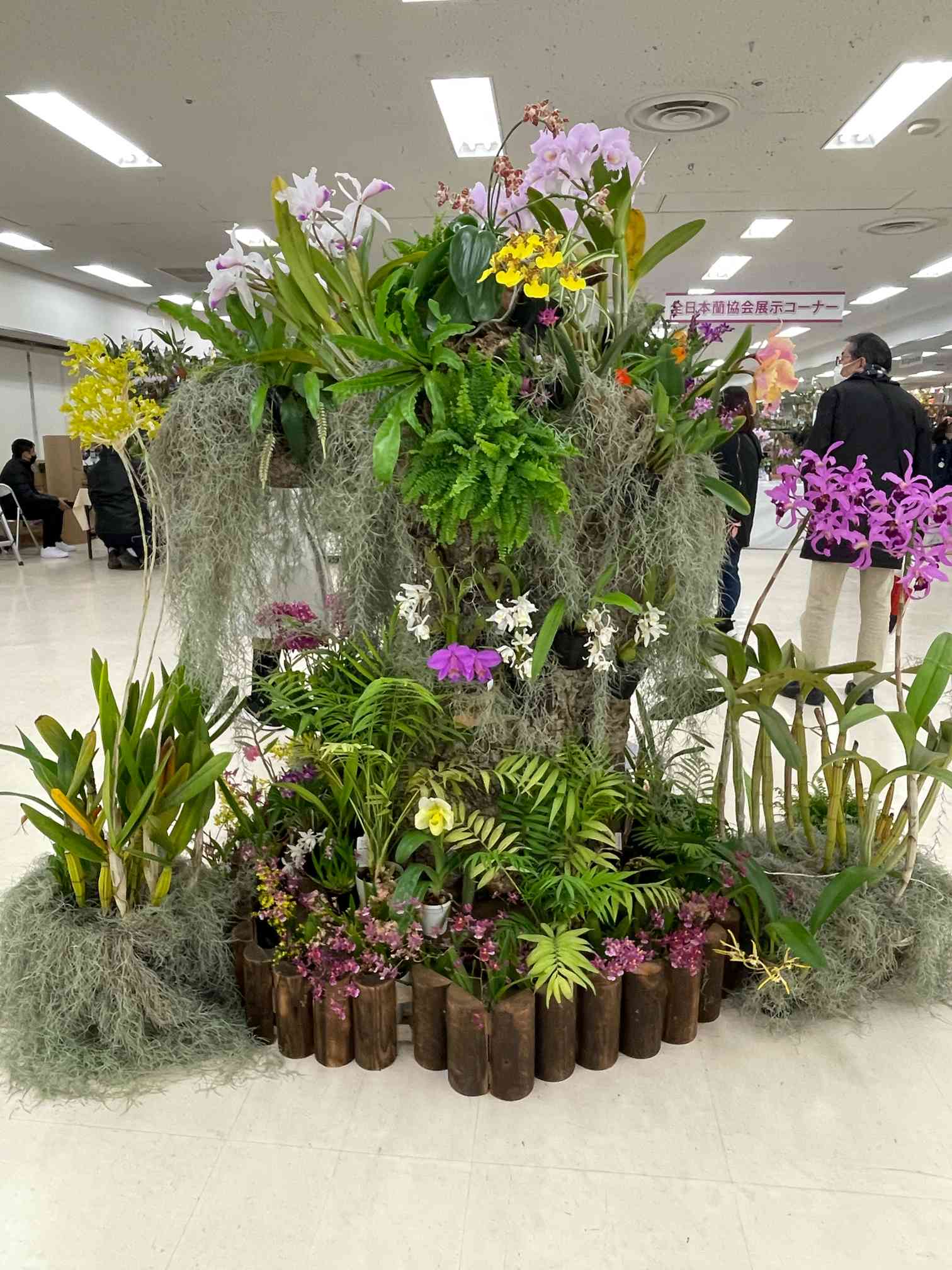 第62回 全日本蘭協会洋らん展 サンシャインシティ世界のらん展2023