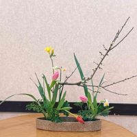 フラワーアレンジ,フラワーアレンジメント,枝もの,黄色,花のある暮らしの画像