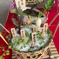 カブ,スズナ,向島百花園,春の七草,今日のお花の画像