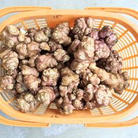 菊芋,家庭菜園の画像